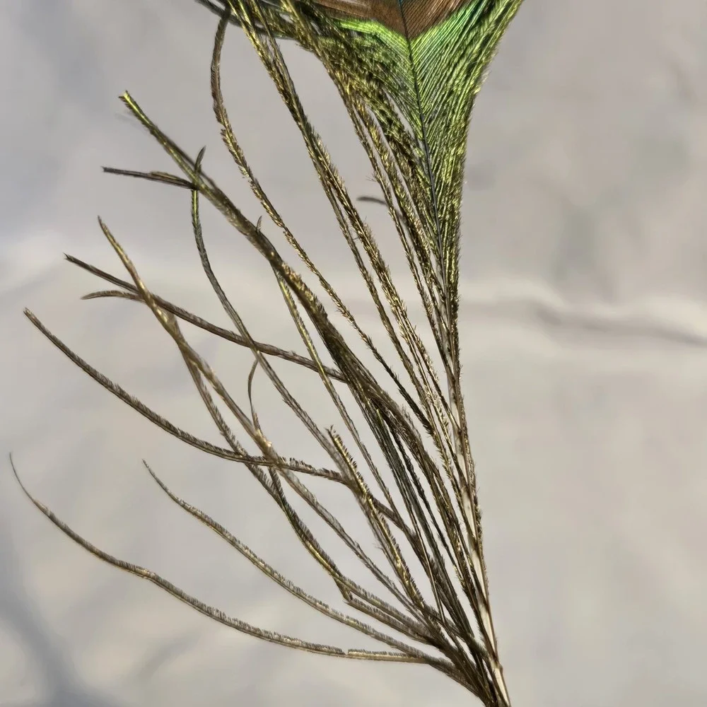 Glass Peacock Clip On Christmas Ornament Real Feather Tail Blue Green Glitter